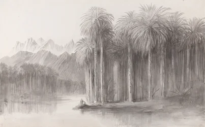Wady Feiran, penisola del Monte Sinai